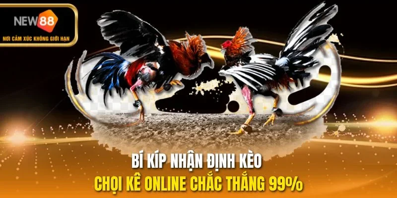 Bí kíp nhận định kèo chọi kê online chắc thắng 99%