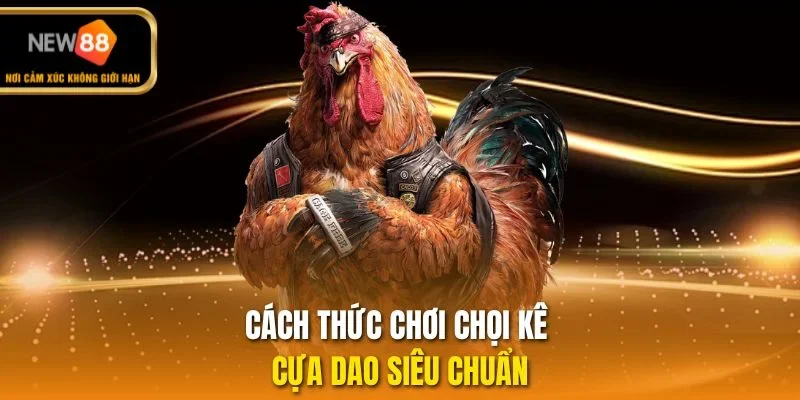 Cách thức chơi chọi kê cựa dao siêu chuẩn