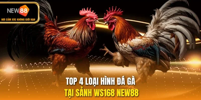 Top 4 loại hình đá gà tại sảnh WS168 NEW88
